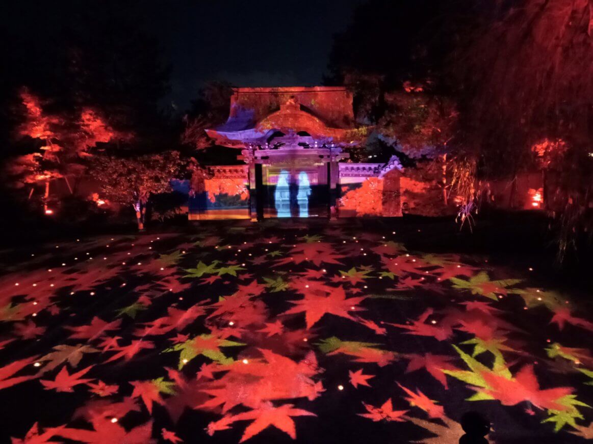 高台寺 ライトアップ 紅葉 – 高台寺 特別拝観 – ZSCCP