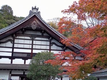 京都【南禅寺】石川五右衛門の「絶景かな、絶景かな」の三門から見る紅葉！