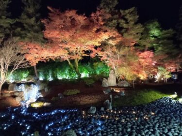 京都【宝厳院】紅葉ライトアップ 夜間特別拝観2022