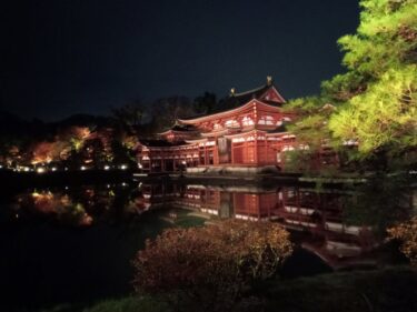 京都【平等院鳳凰堂】紅葉ライトアップ 夜間特別拝観2022
