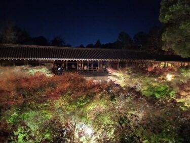 京都【東福寺】紅葉ライトアップ 夜間特別拝観2022