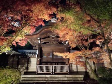 京都【永観堂】紅葉ライトアップ 夜間特別拝観2022