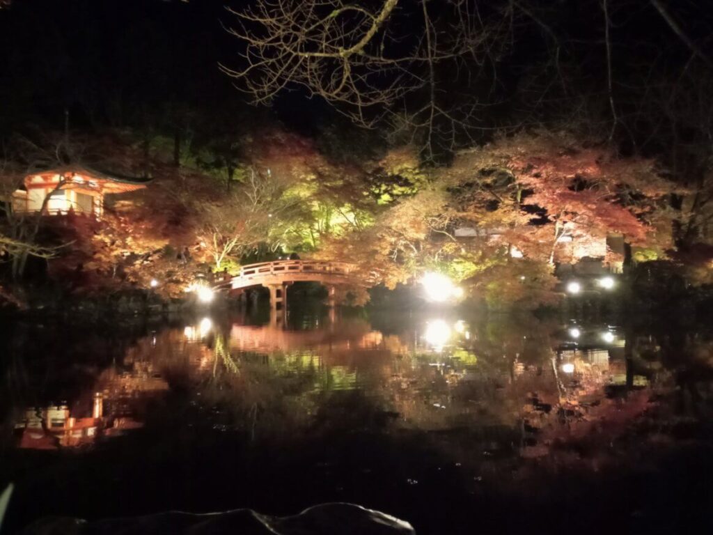 醍醐寺 池