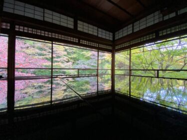 京都【瑠璃光院】もみじが机に映り込み、画面いっぱいに彩られた「もみじ」に感動！日程・時間・料金・アクセス方法など、詳しくご案内します。