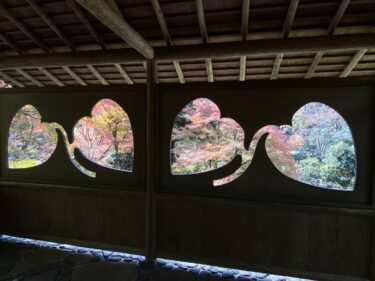 京都【白龍園】「カンアオイの窓」からフォトジェニックな写真を撮りましょう！日程・料金・アクセス方法など、詳しくご紹介します。
