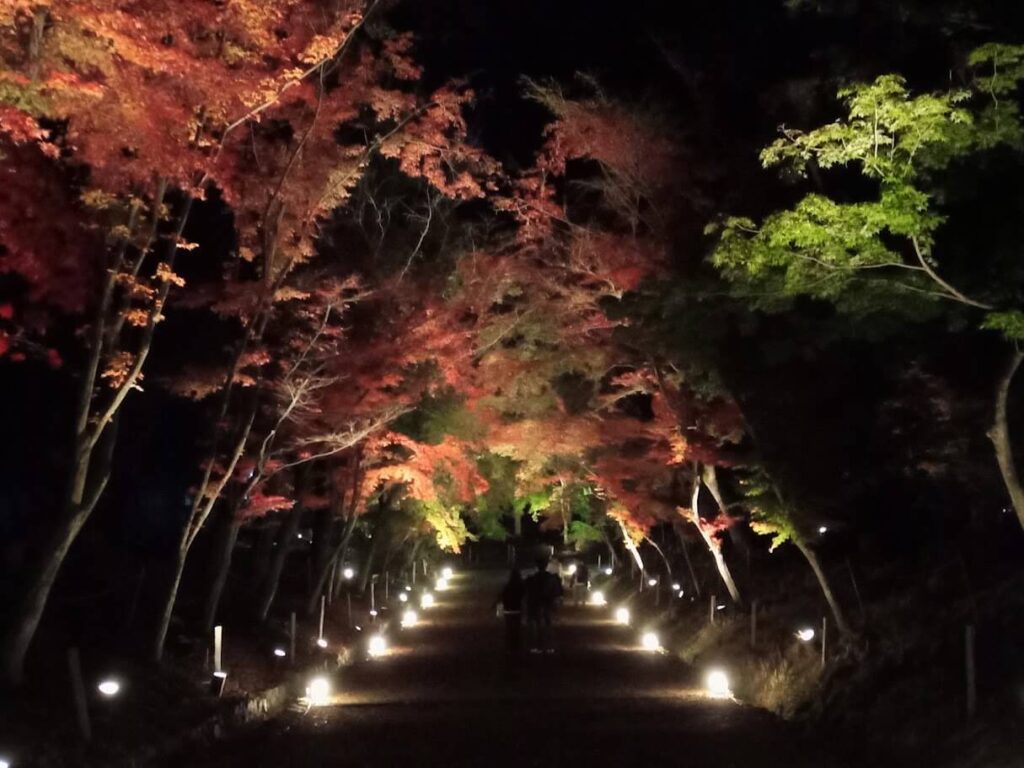 醍醐寺②