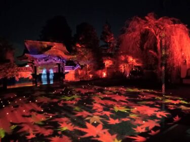 京都【高台寺】夜の「プロジェクションマッピング」と「光る御朱印」は大人気！ 春は桜で秋もみじ！