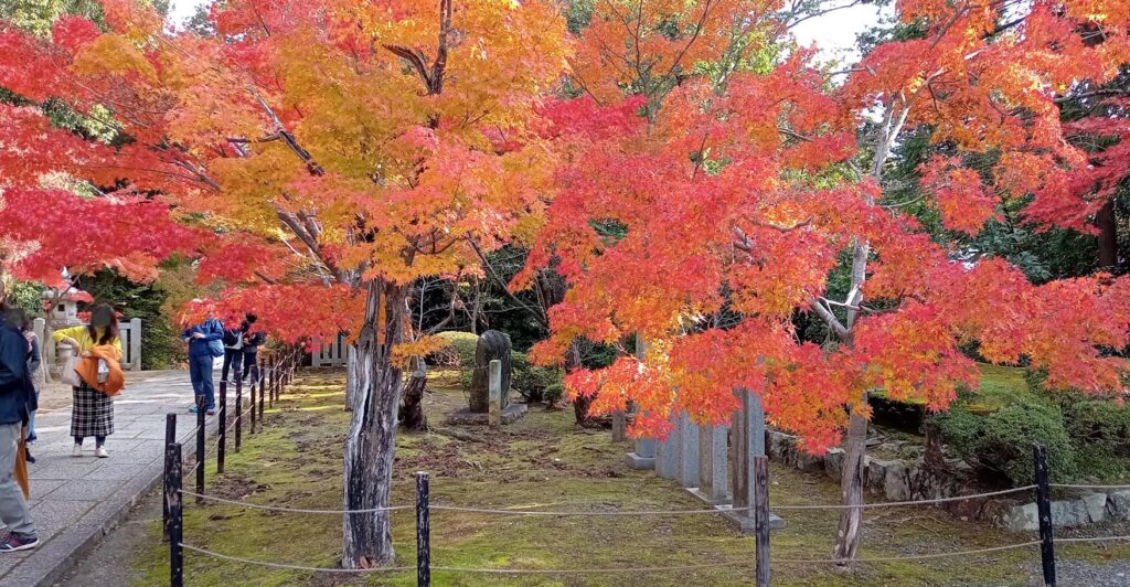 光明寺 境内