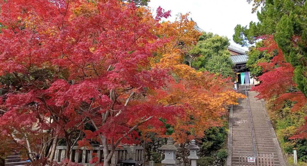 光明寺 階段