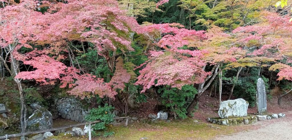 神護寺 もみじ