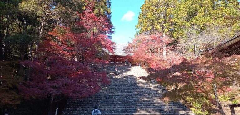 神護寺 階段