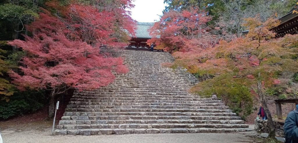 神護寺 階段②